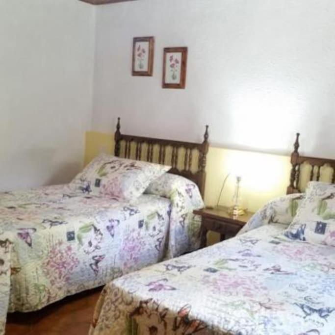 Casa Rural Barangua En El Pirineo Aragones Santa Cruz De La Seros Luaran gambar